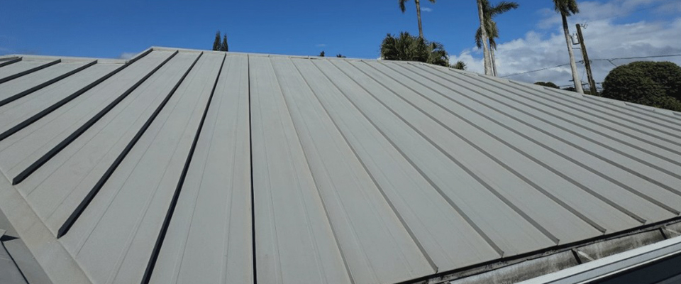 image of Soft washing a roof