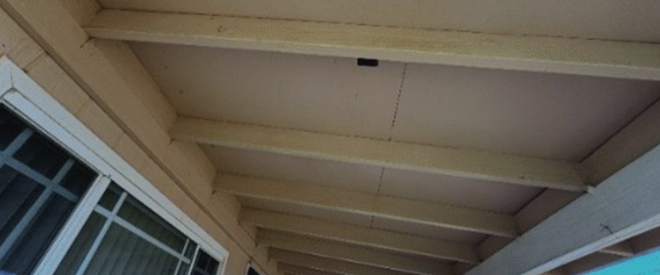 image of home roof cleaned by Pacific Spray Wash