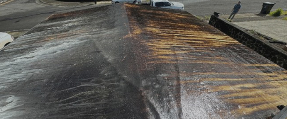 image of home roof cleaned by Pacific Spray Wash