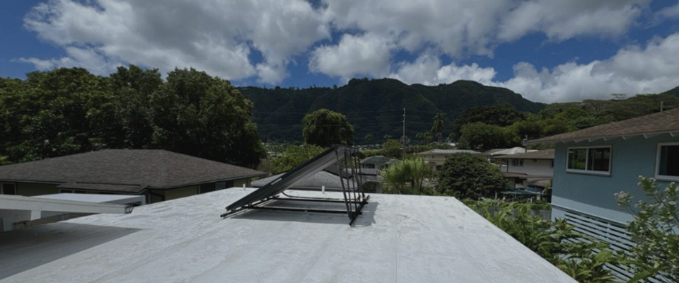 image of home's roof cleaned by Pacific Spray Wash