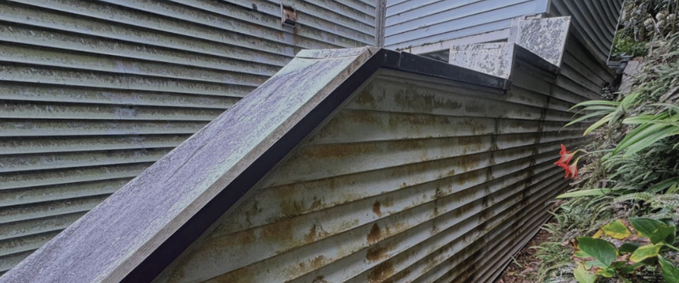image of home siding cleaned by Pacific Spray Wash